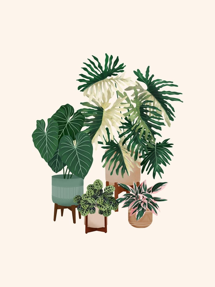 Plant Friends 11