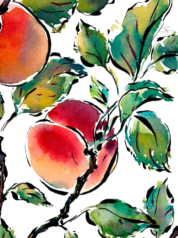 Watercolor and Ink Art Garden Fruit Pink Peach