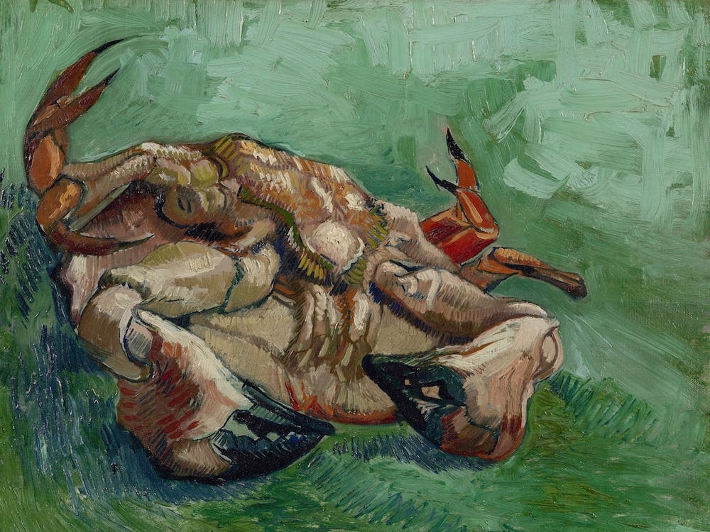 Crab On Its Back, Van Gogh