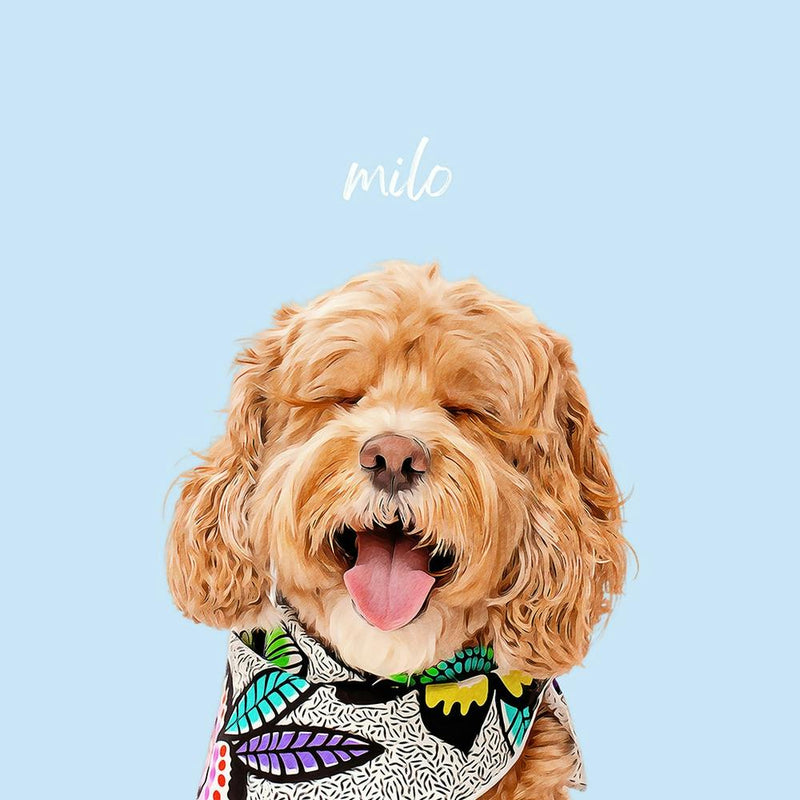 Mello 1