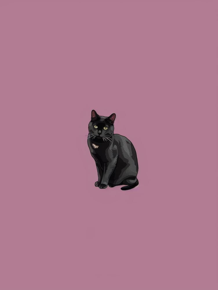 Black Cat On A Purple Background