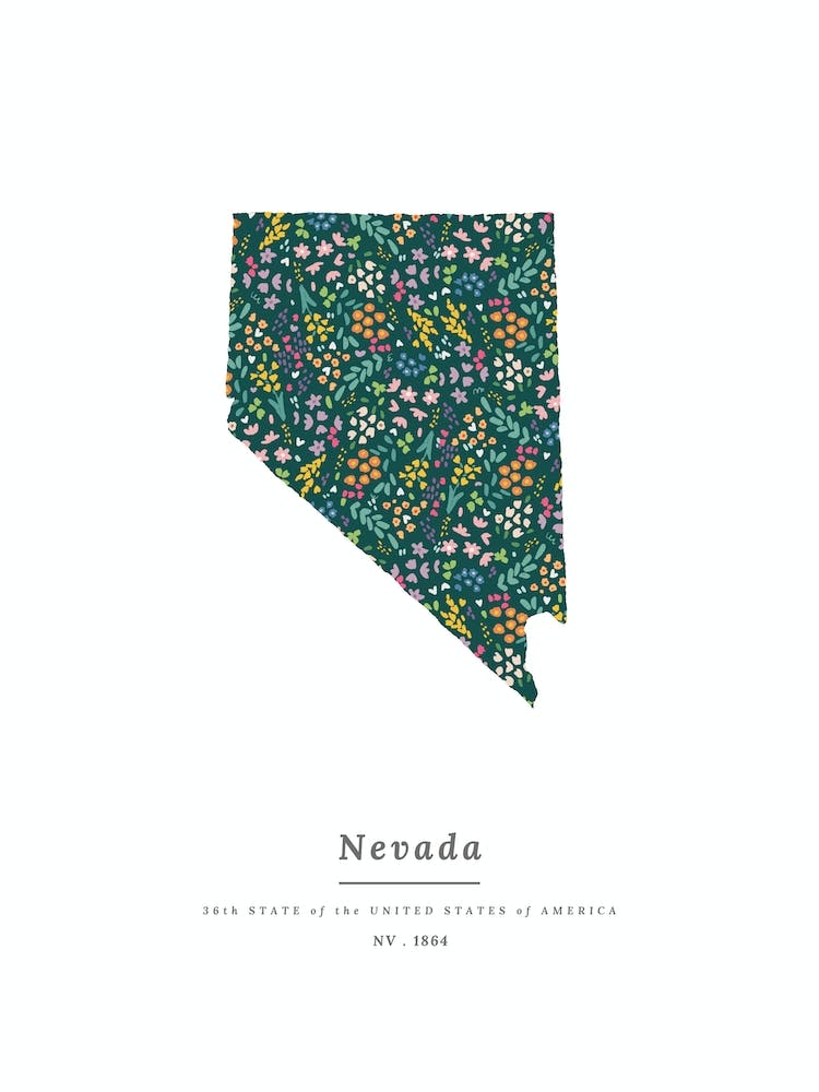 Nevada State | Wildflowers on Juniper Green