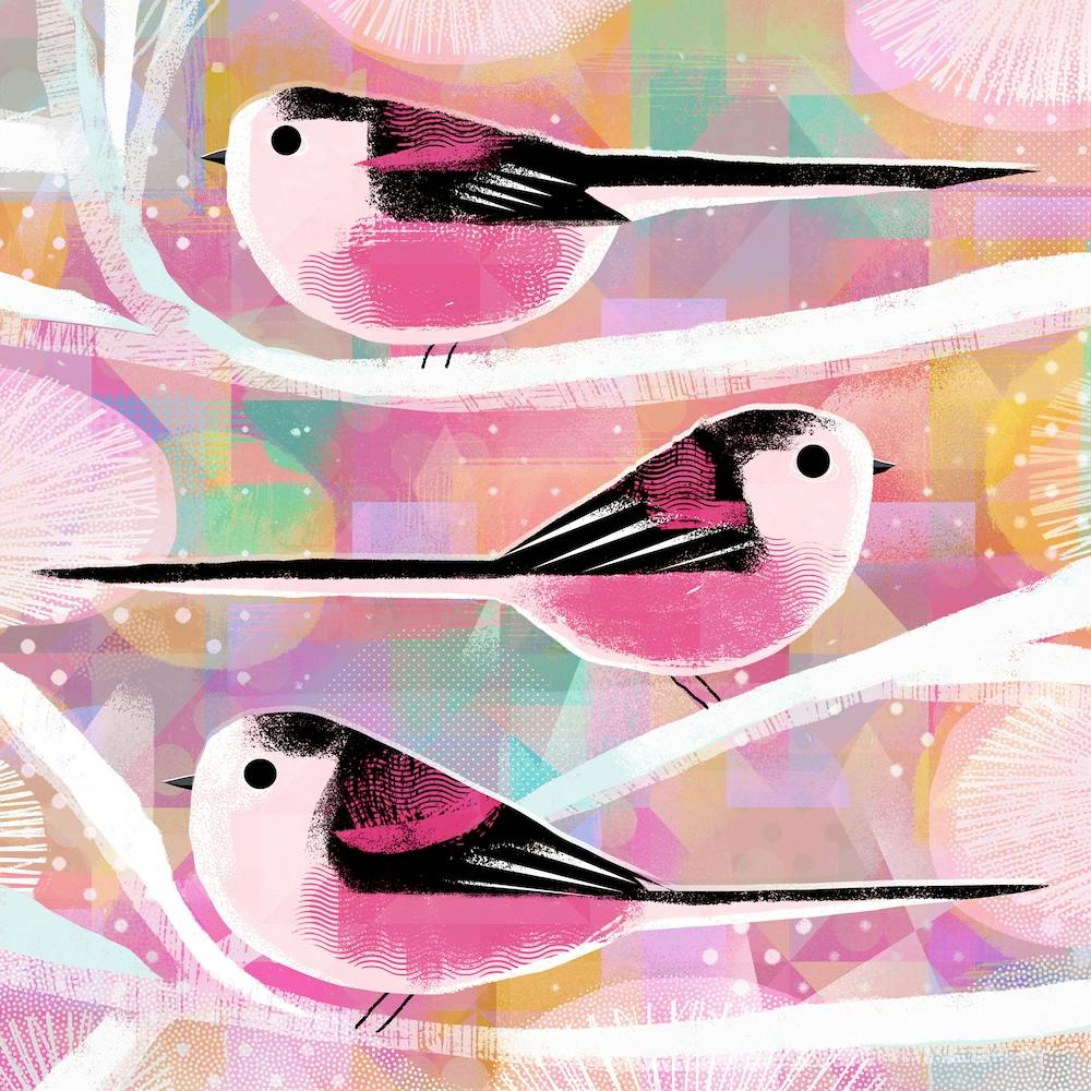 Long Tailed Tits Square