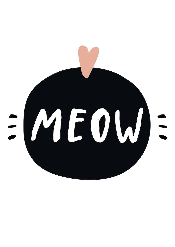Meow I