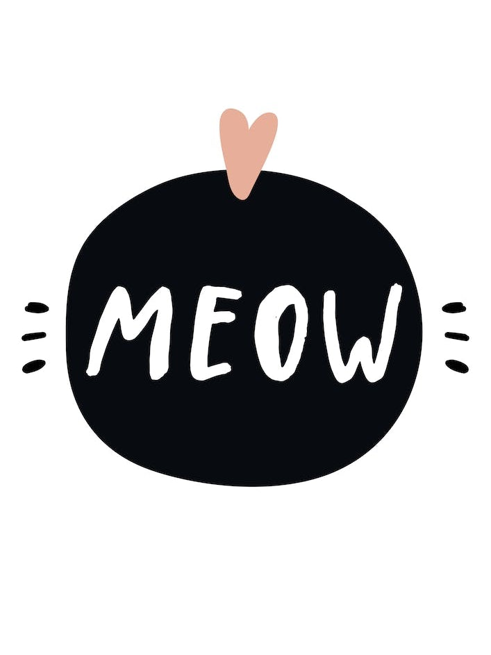 Meow I