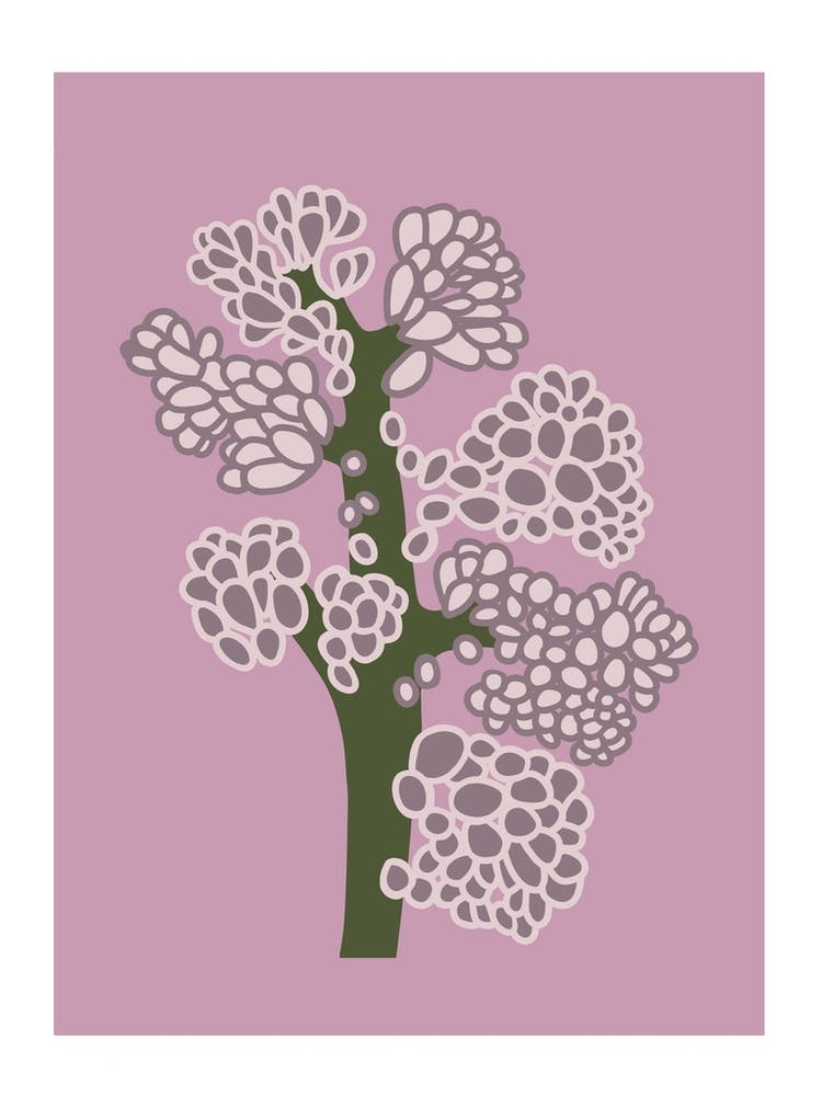 Pink Lung