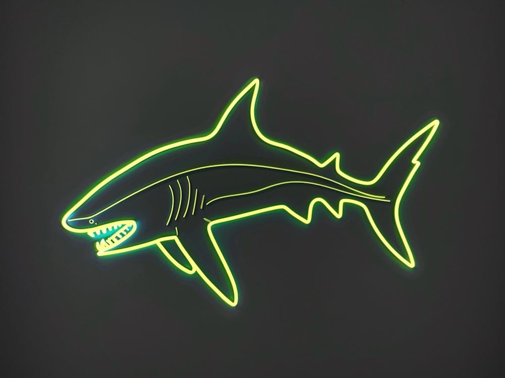 Neon Lime Dogfish Shark 6