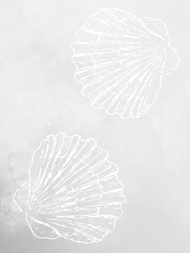 Two Sea Shells