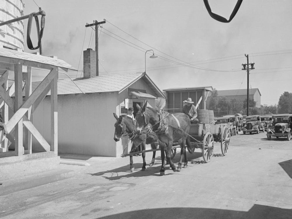 Untitled Photo, Possibly Related To Farmer Waiting In Line For Load Of Liquid Feed, Owensboro, Kentucky By Russe