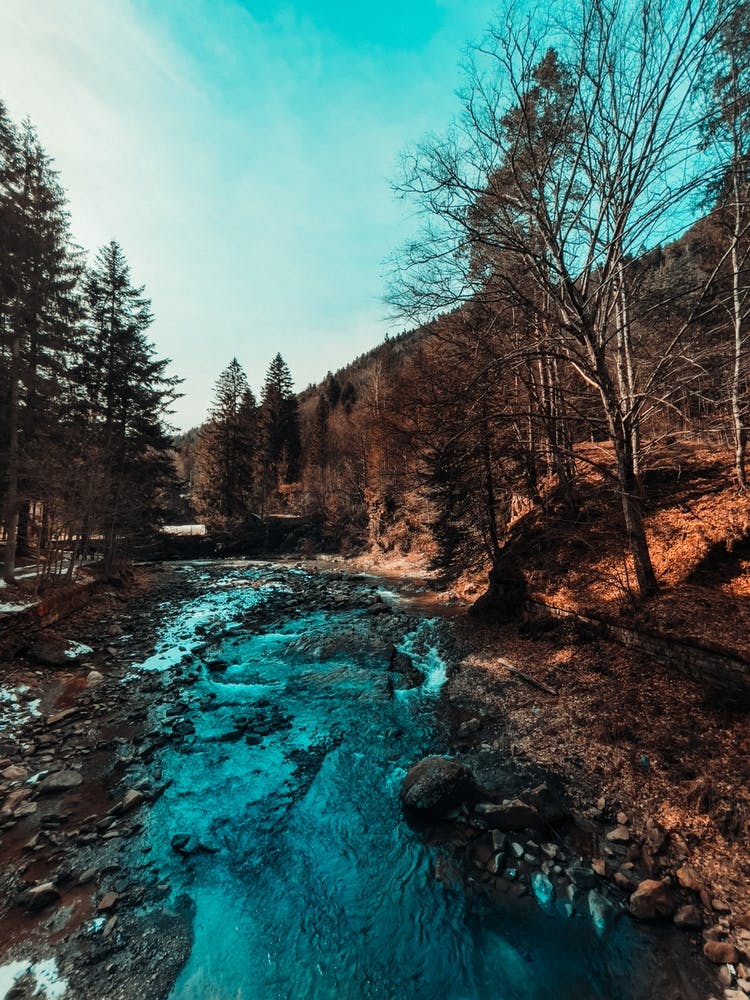 Idyllic River Through The Woods