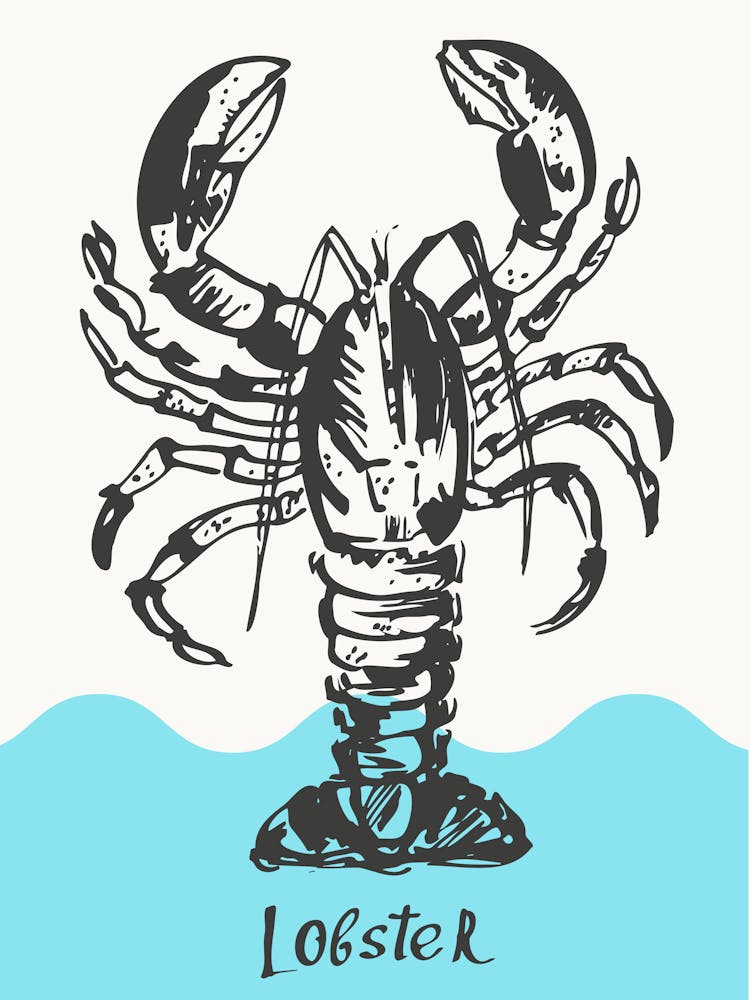 Lobster