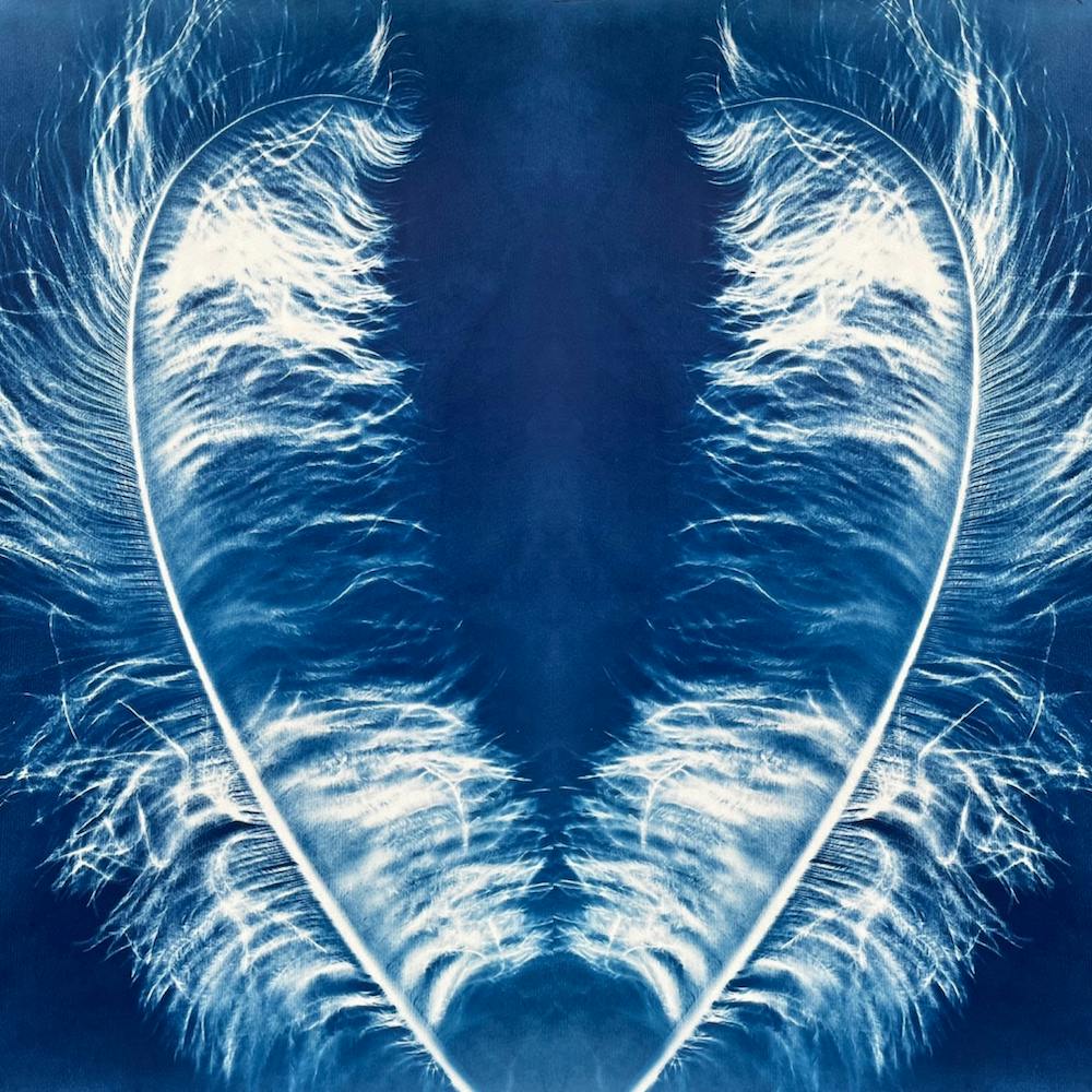 Blue Cyanotype Angel Wings Print