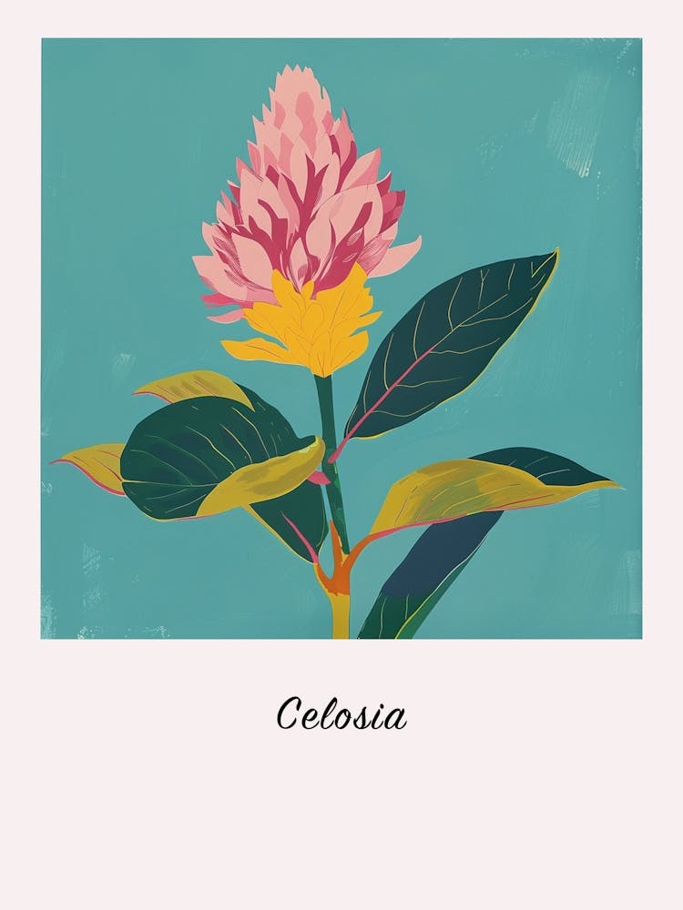 Celosia 2 Square Flower Illustration Poster