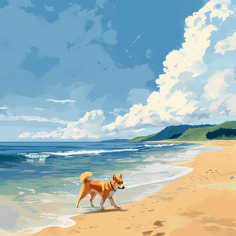 Dog On The Beach