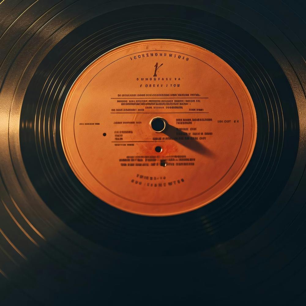 Vinyl Record 5