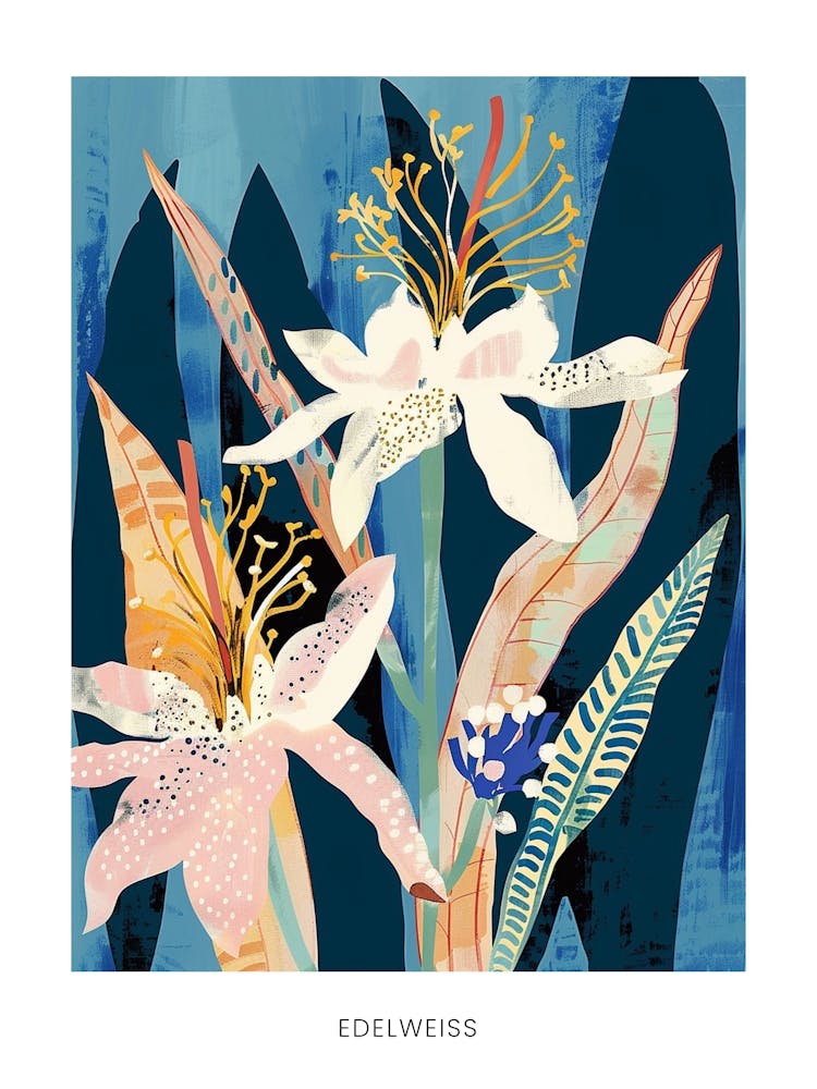 Colourful Flower Illustration Poster Edelweiss 3