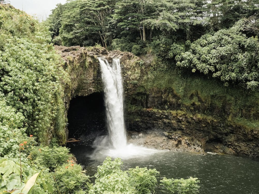 Cenote Pool