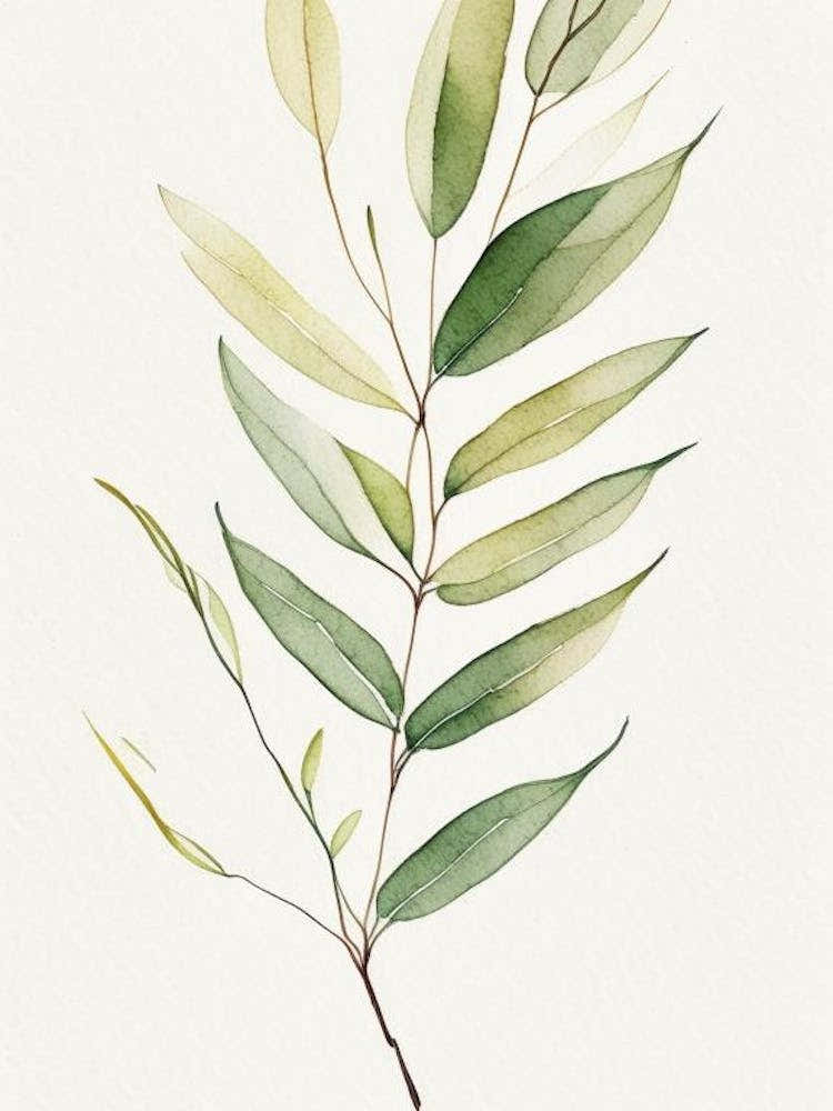 Willow Leaf Minimalist Watercolour 1