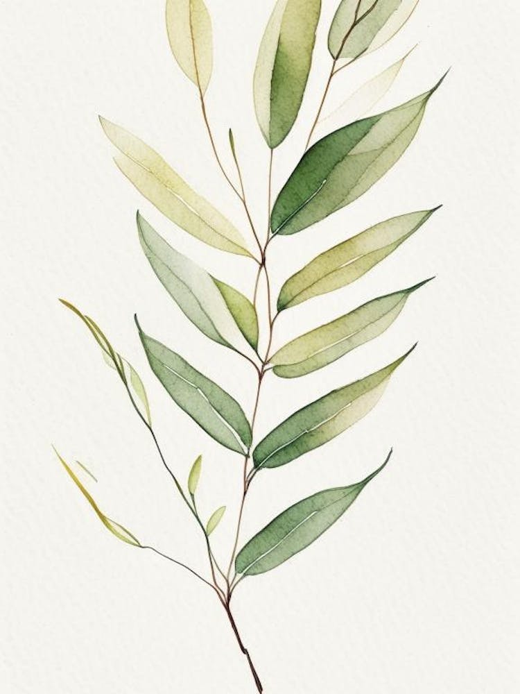 Willow Leaf Minimalist Watercolour 1