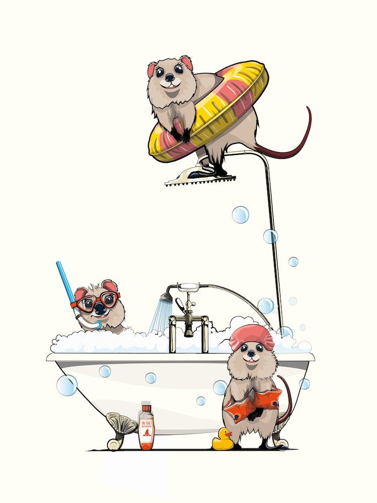 Quokka In The Bath
