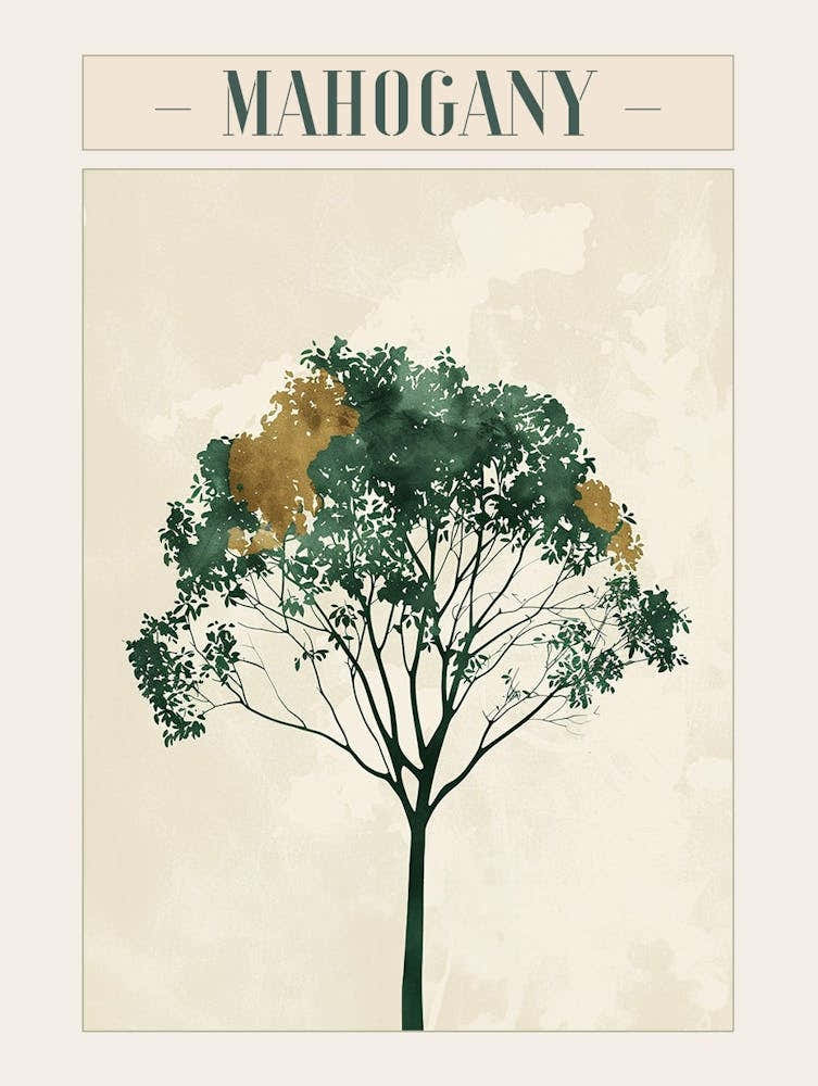 Mahogany Tree Minimal Japandi Illustration 1 Poster
