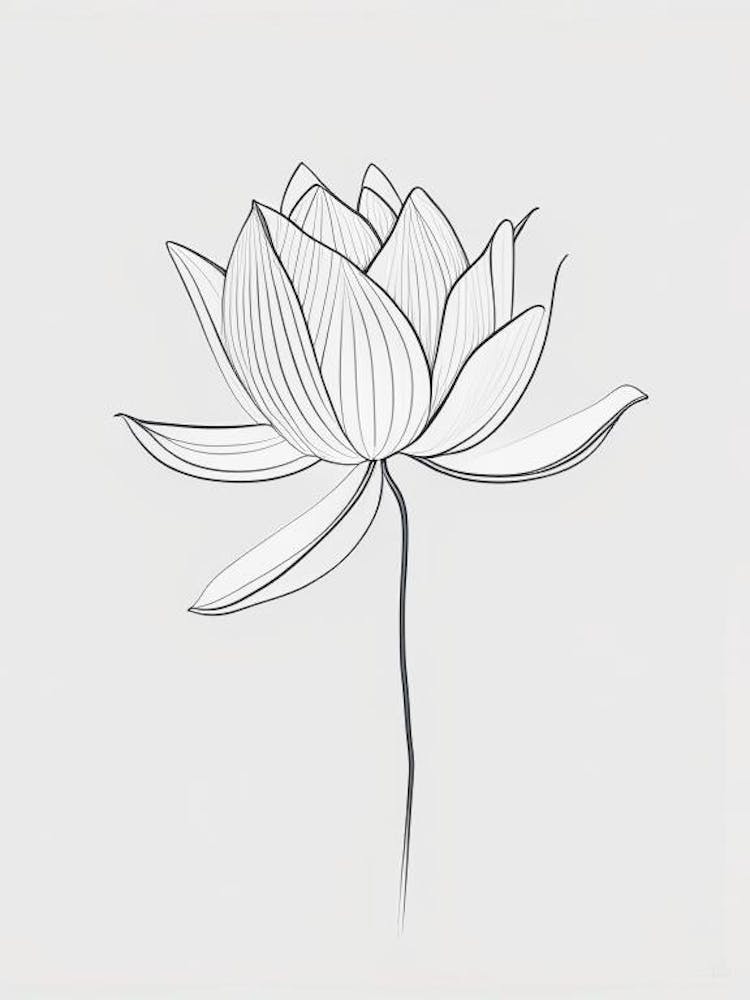 White Lotus Minimal Line Drawing 2