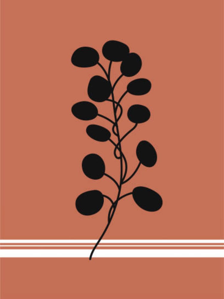 Eucalyptus 3