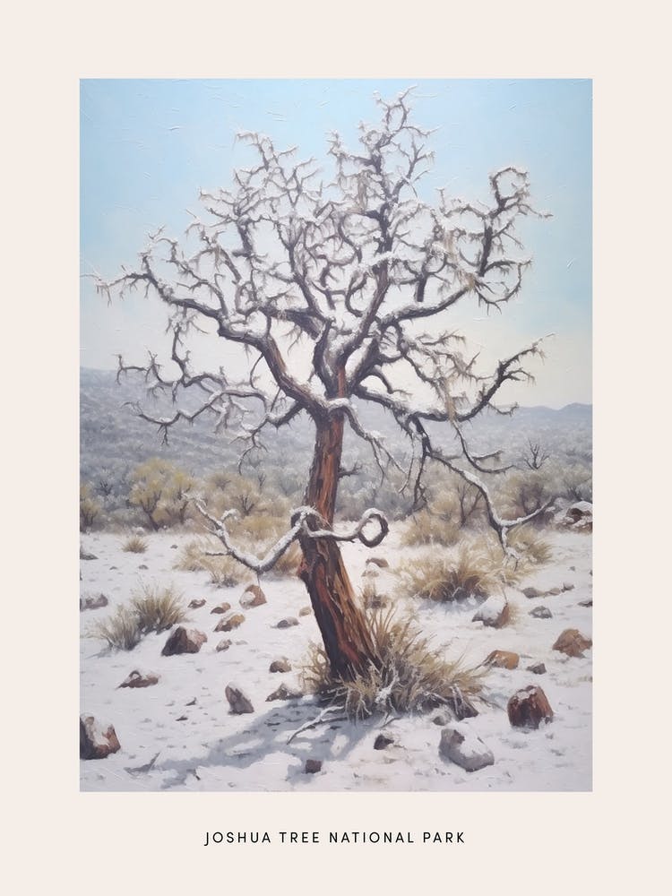 Dreamy Winter National Park Poster  Joshua Tree National Park United States