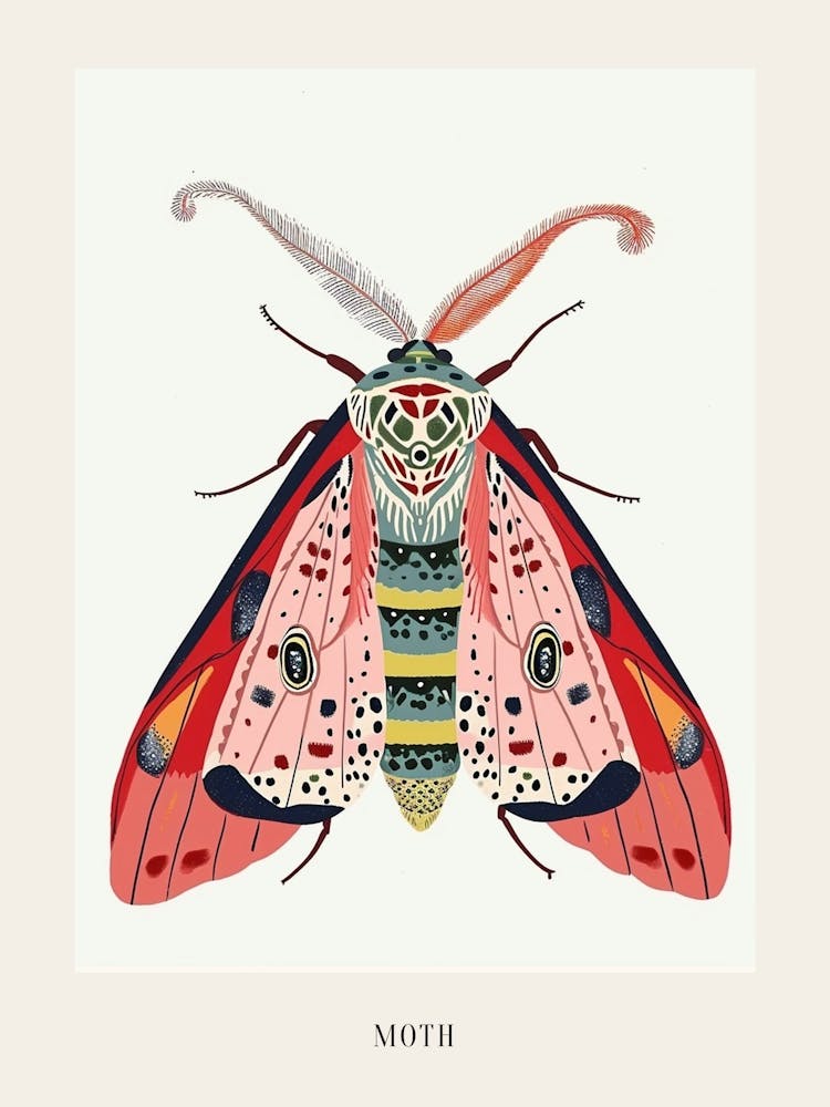 Bunte Insektenillustration Motte 14 Poster