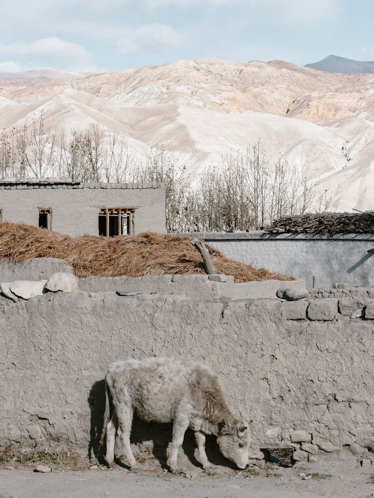 Street Scene In Upper Mustang In Nepal