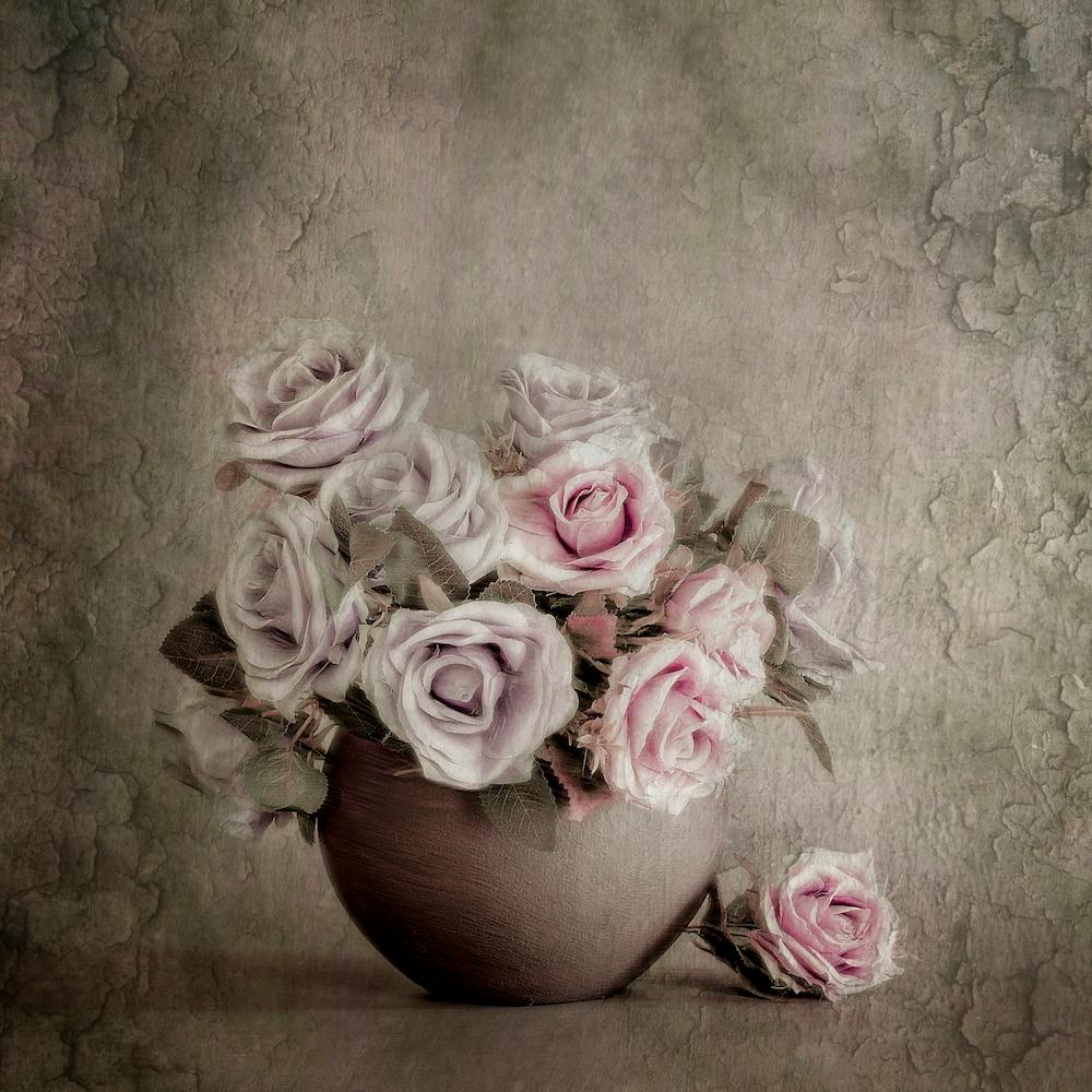 Love And Roses
