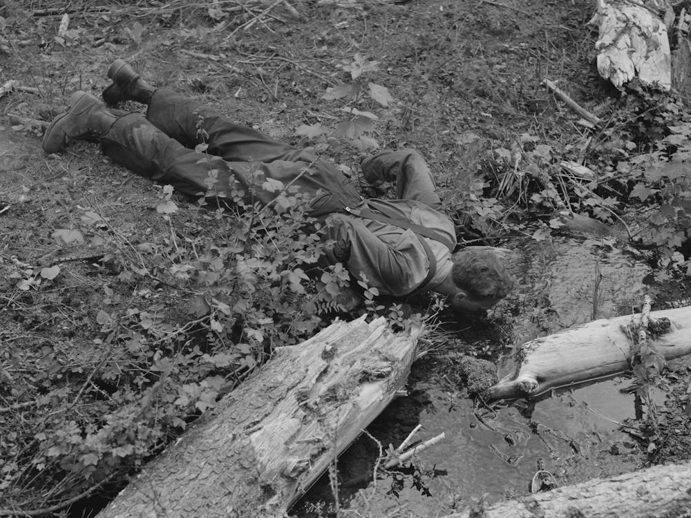 Grant County, Oregon, Malheur National Forest, Lumberjack Drinking From A Spring By Russell Lee