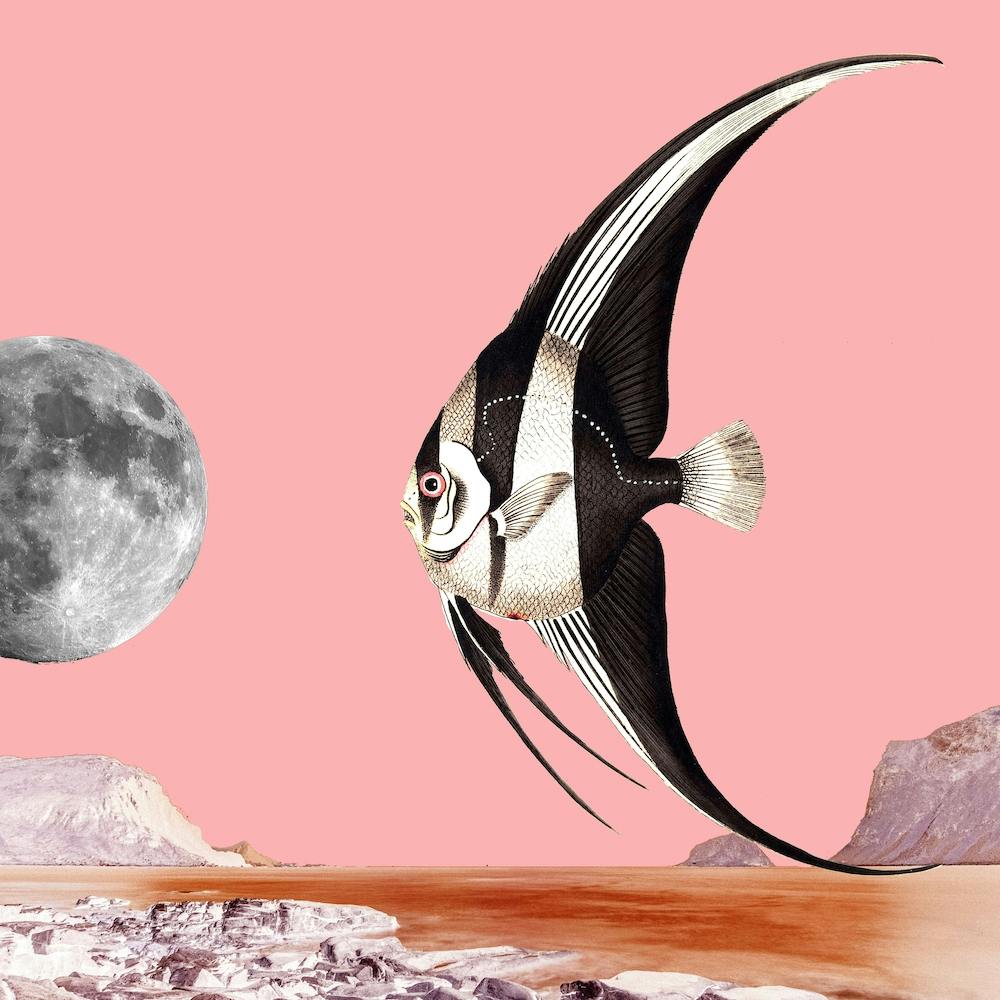 Plenty Of Fish In The Sea Pink 