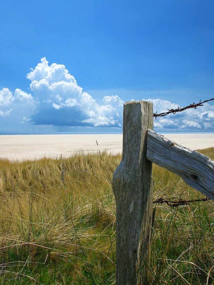 Wooden Pole on the Beach