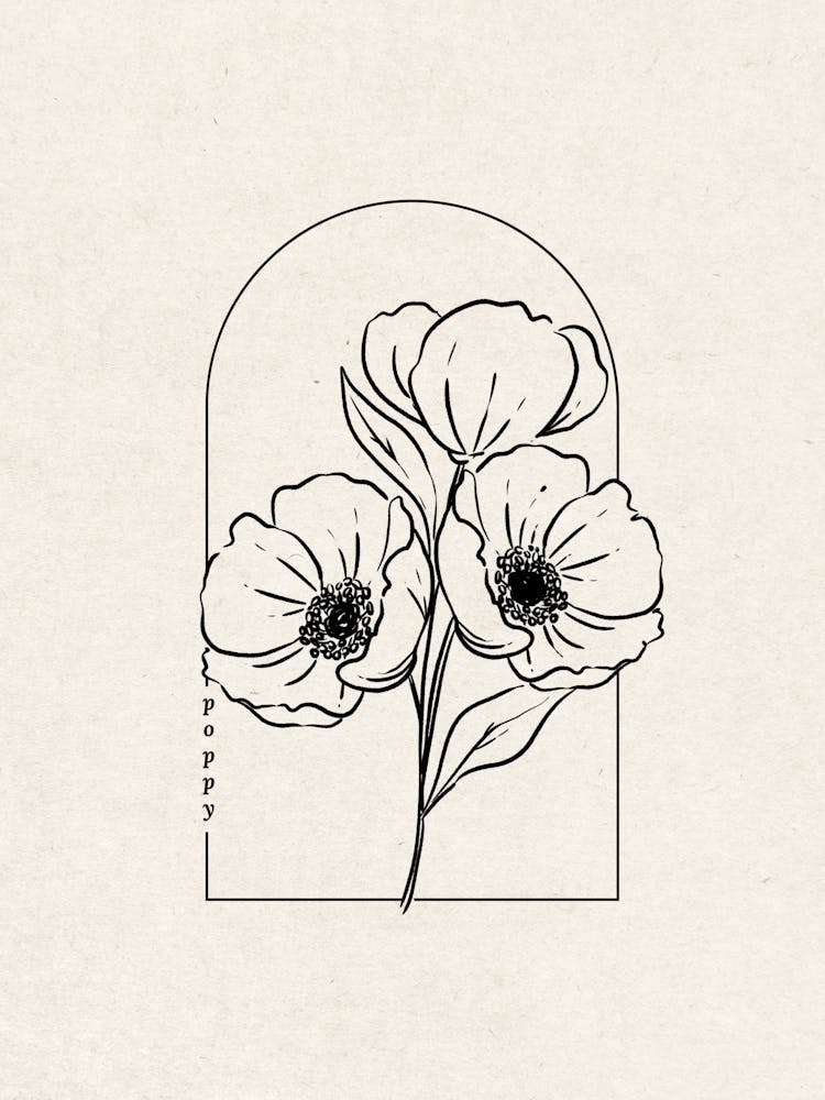 Poppy Flower