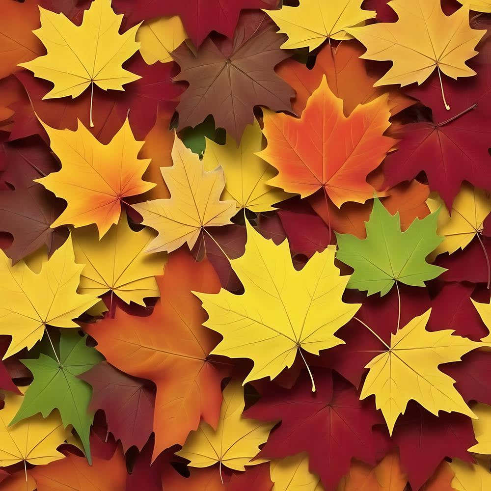 Autumn Leaves Background