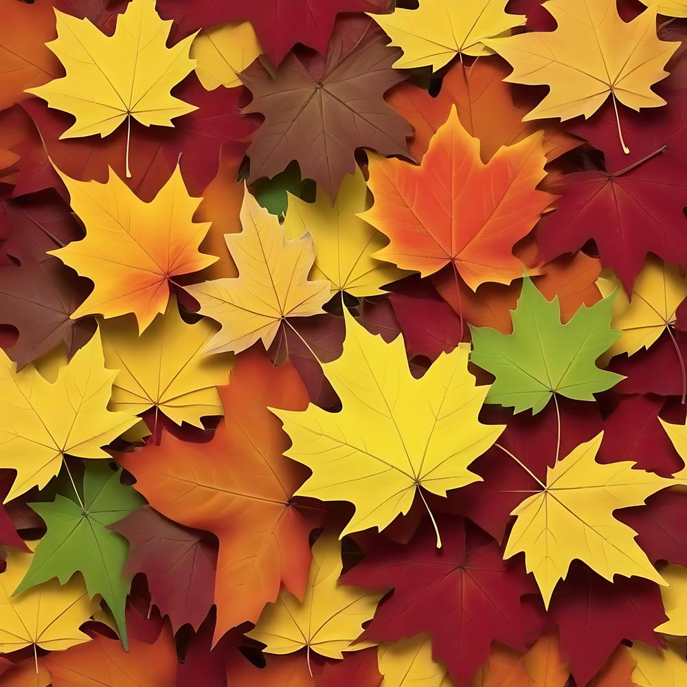 Autumn Leaves Background