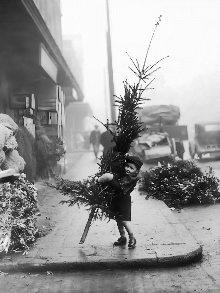 Little Boy With Christmas Tree, Vintage Black and White Old Photo