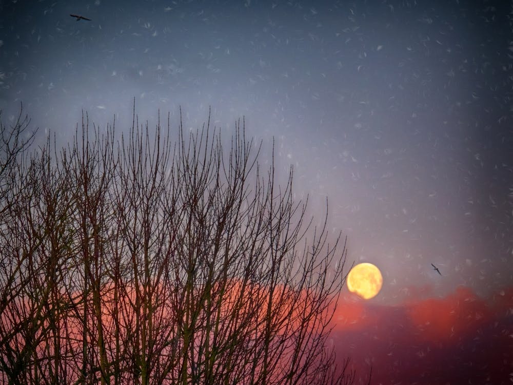 Moonlit Winters Morning