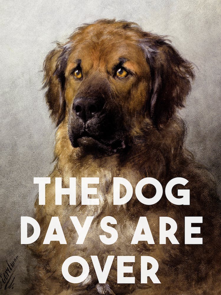 The Dog Days Are Over