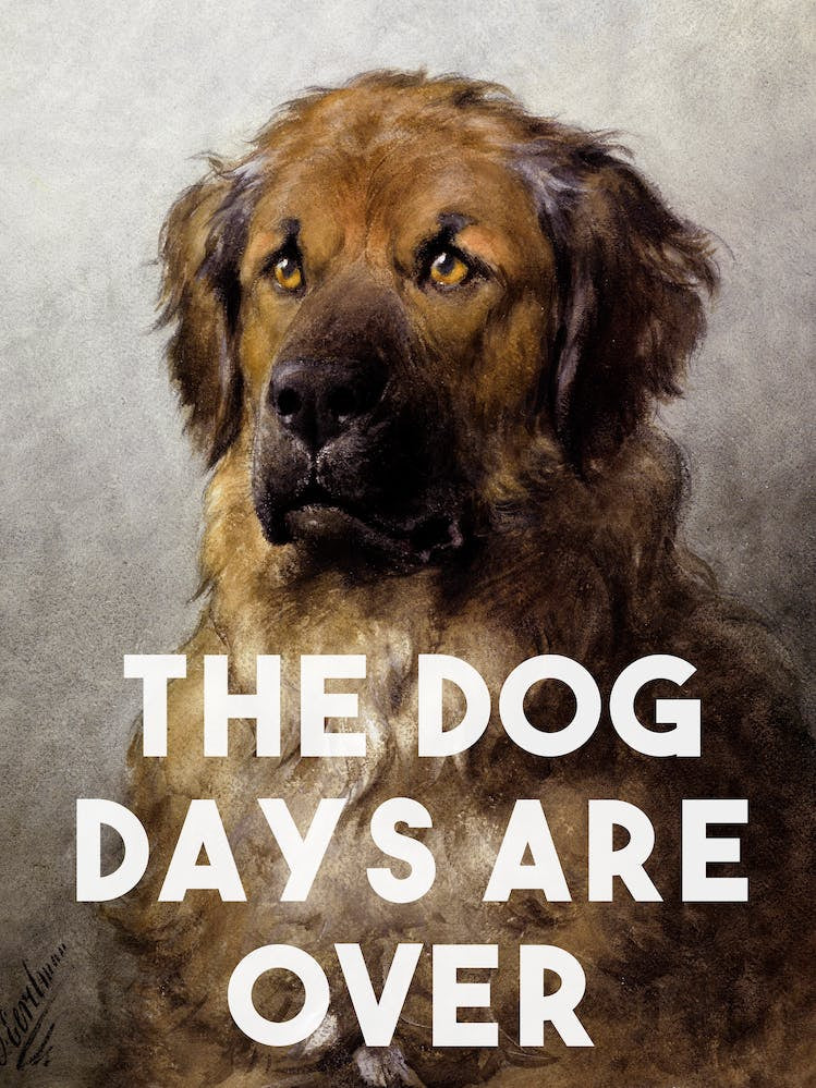 The Dog Days Are Over