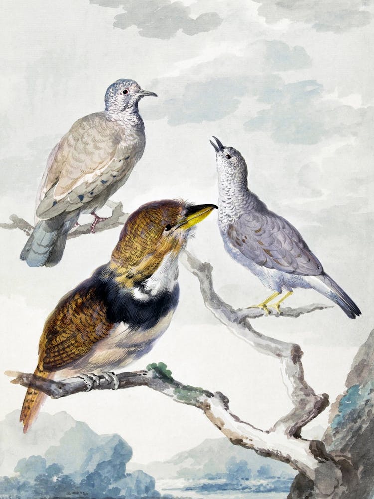 Vintage Bird_2835785