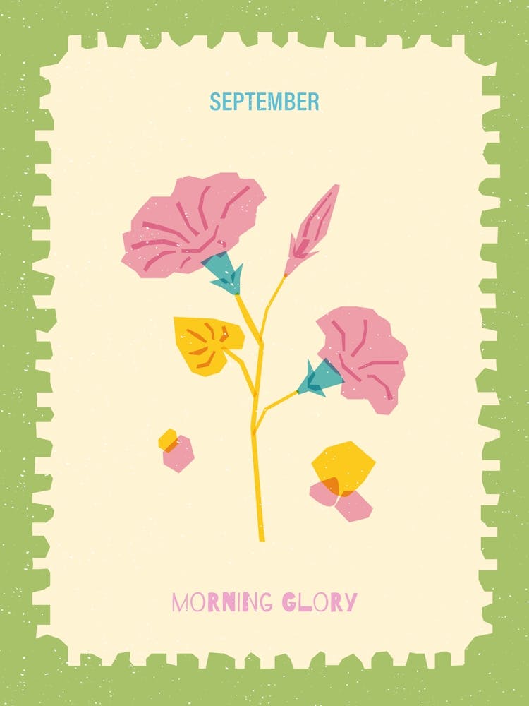 September Birthmonth Flower Morning Glory