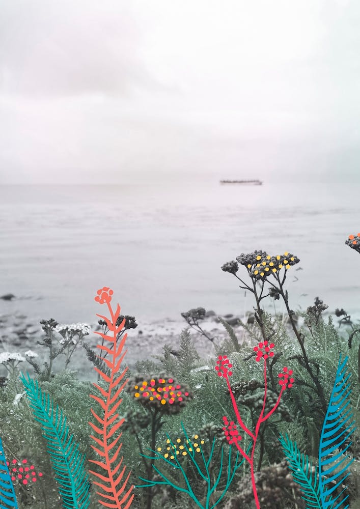 Flowers In The Beach