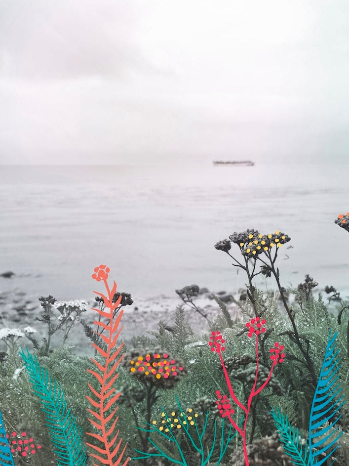 Flowers In The Beach