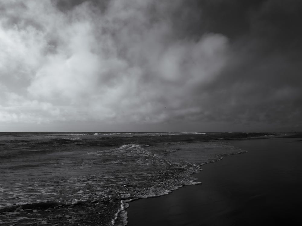 Coastal Black and White