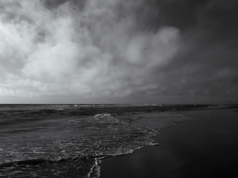Coastal Black and White