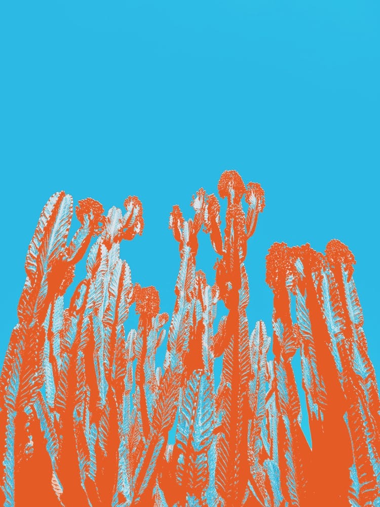 Pop Art Desert Orange Teal Cactus