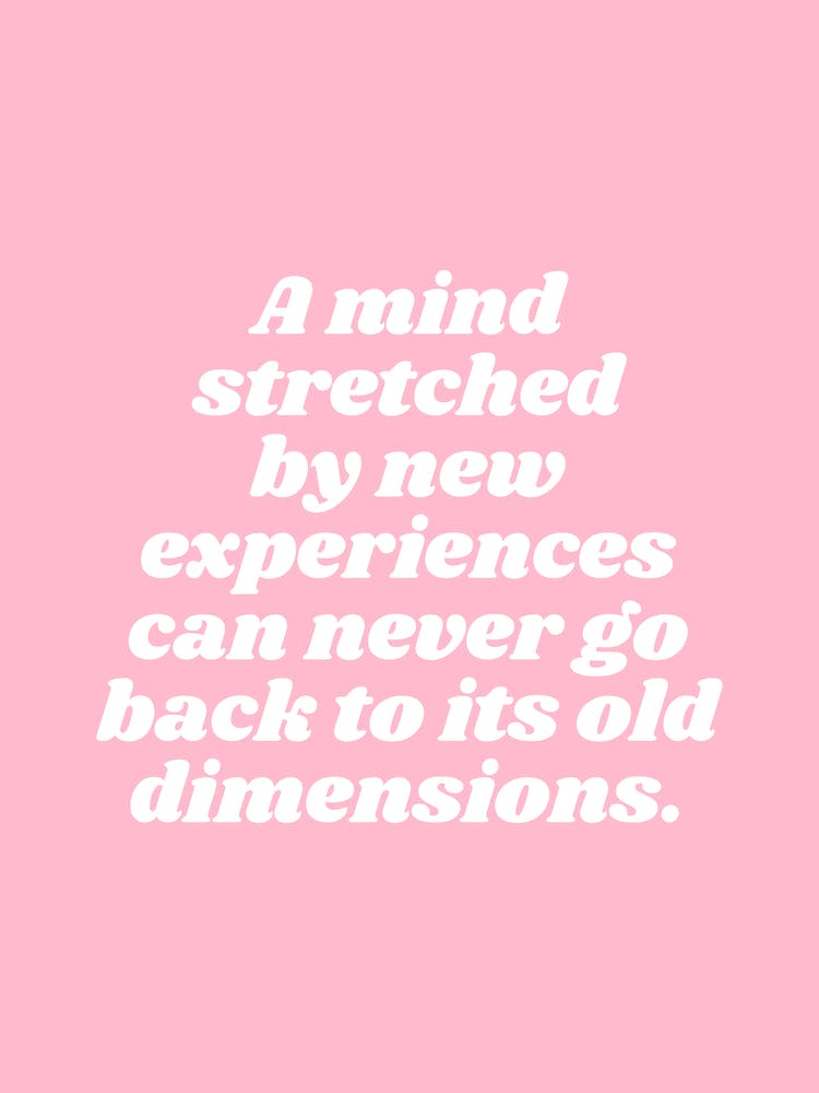 A Mind Stretched By New Experiences Can Never Go Back To Its Old Dimensions (Pink tone)