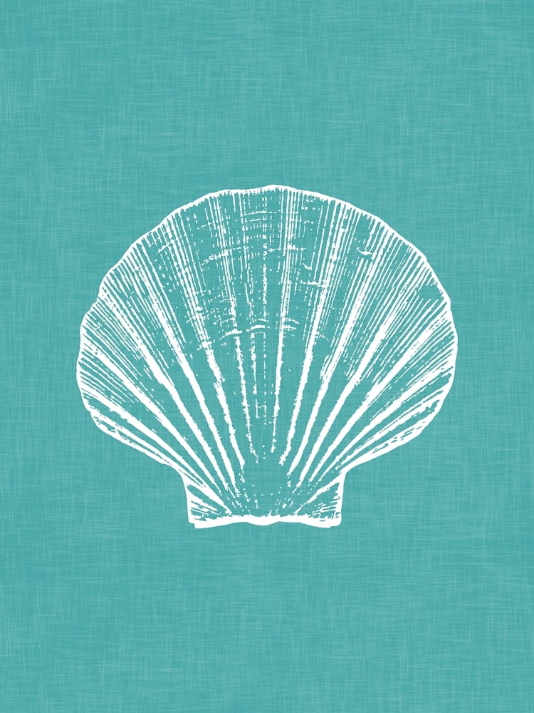 Vintage Sea Shell Silhouette In Teal